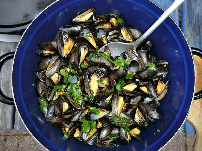 Mussels - Moules