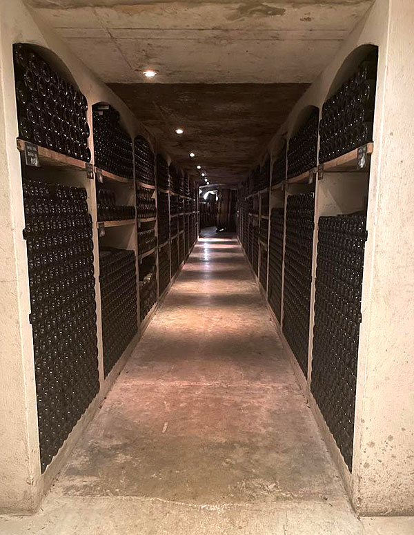 Cellars at DOmaine Jean-Louis Chave